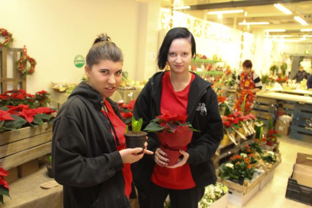 Kiipulassa liiketaloutta opiskelevat Aile Sadik ja Christa Vesala saavat joulupuodissa käytännön työoppia.